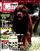 - Atout chien Magazine